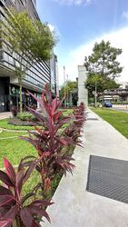 Alexandra Central (D3), Retail #611838811